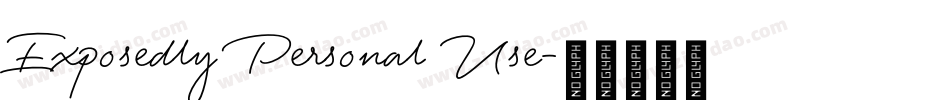 Exposedly Personal Use字体转换